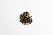 Load image into Gallery viewer, Mondo Sclerotia Mexicana