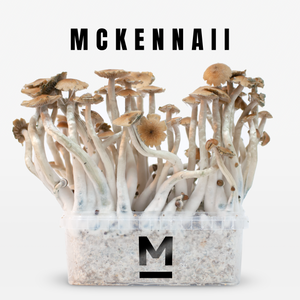 Myceliumbox Mckennaii (with sleeve)