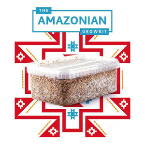 Myceliumbox PES Amazonian (white label)
