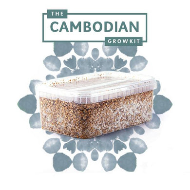 Myceliumbox Cambodian (white label)