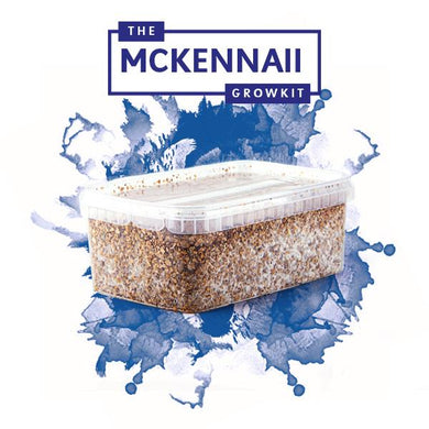 Myceliumbox Mckennaii (white label)