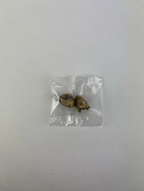 Microdosing Bulk Mexicana