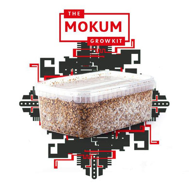 Myceliumbox B+ (white label)