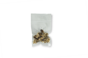 Mondo Sclerotia Hollandia