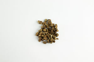 Mondo Sclerotia Pajaritos