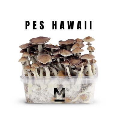 Myceliumbox PES Hawaii (white label)