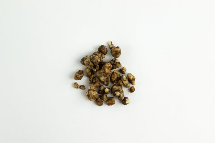 White label Tampanensis Pollock