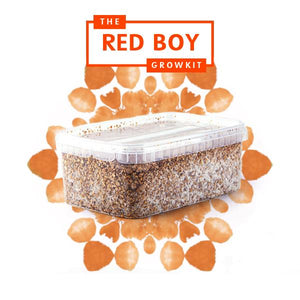 Myceliumbox Red boy (white label)
