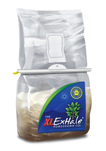 Exhale (full Box)