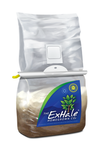 Exhale (full Box)