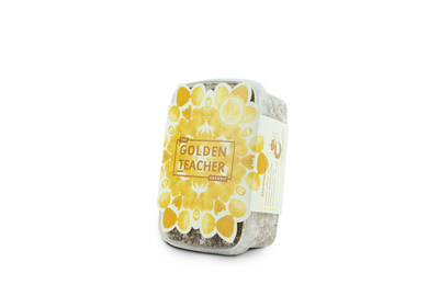 Myceliumbox Golden Teacher (with sleeve)