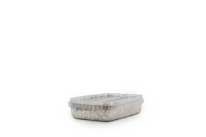 Myceliumbox Red boy (white label)