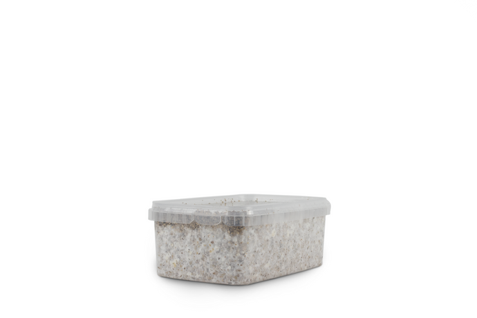 Myceliumbox Ban Hua Thai (white label)